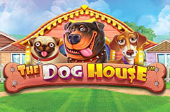 The Dog House